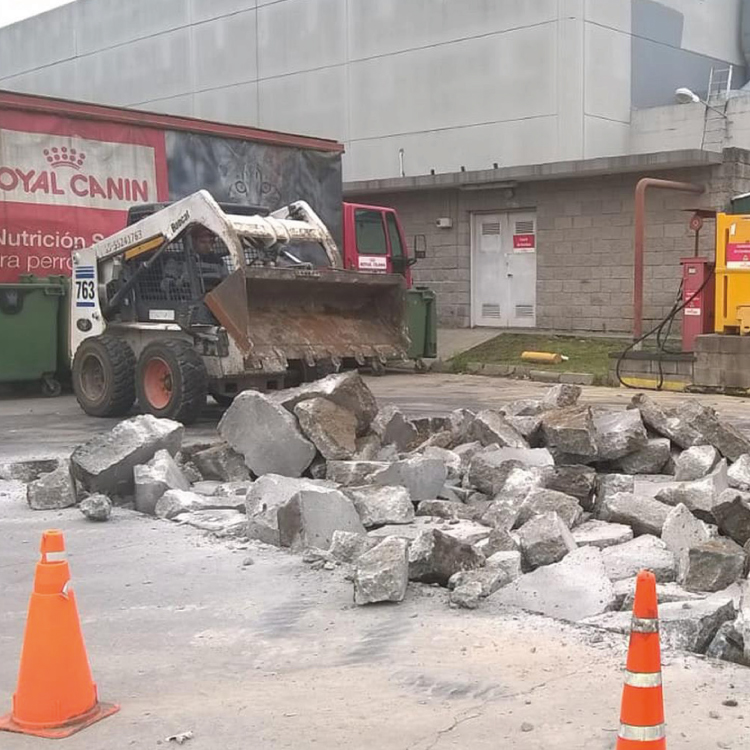 Movivmiento de suelo ralizado para la reparación del piso de hormigon en Royal Canin