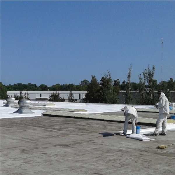 Reparación de cubierta en planta industrial Royal Canin Don Torcuato